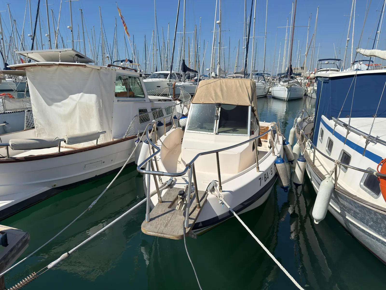 Rio 630 Cabin Fish · 26