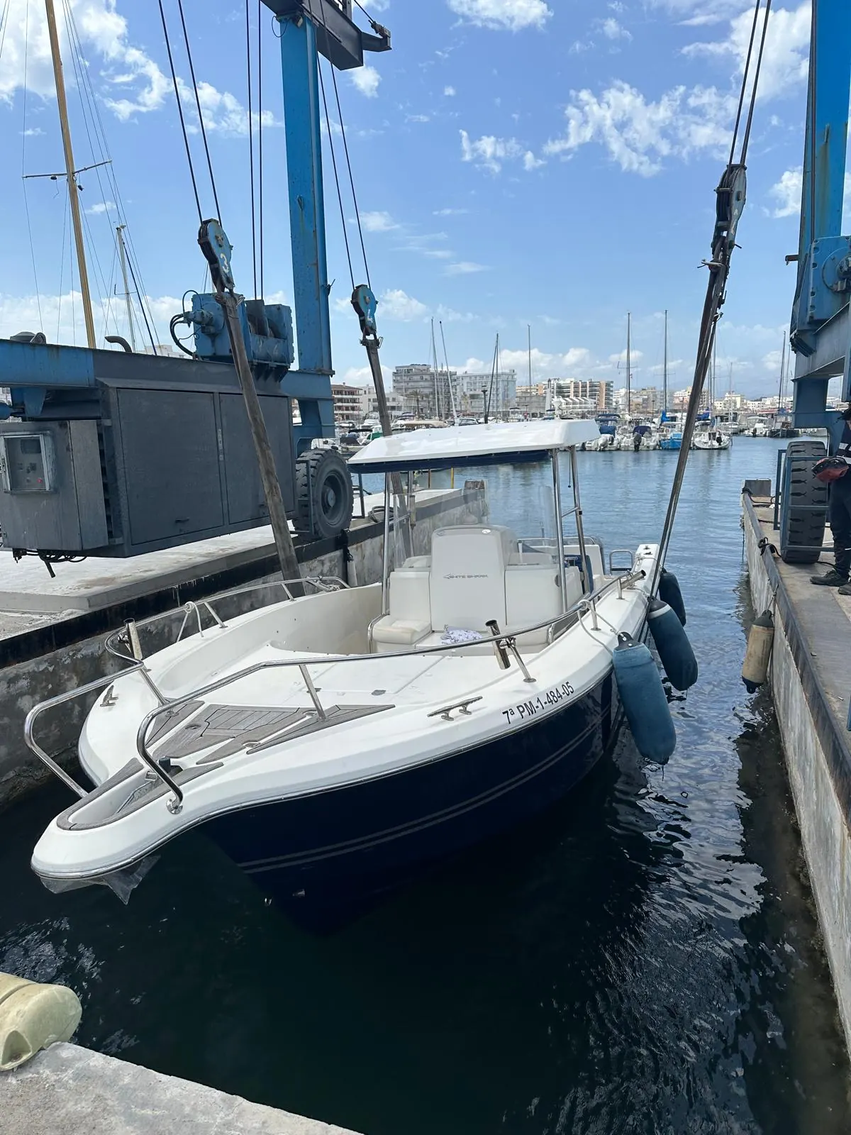 White Shark 285 · 24