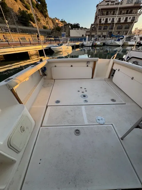 Rio 800 Cabin Fish · 28