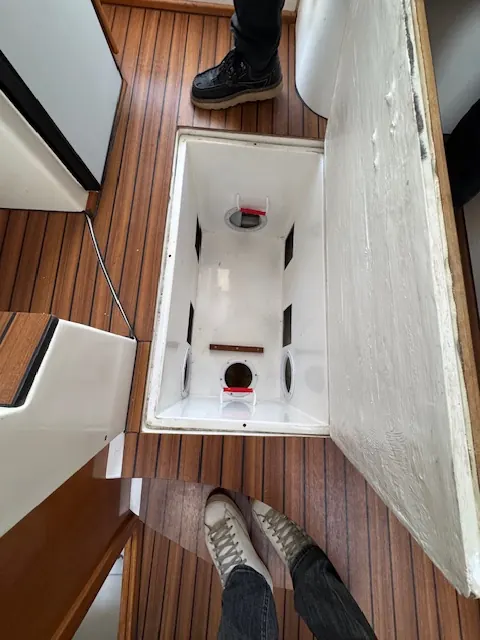 Rio 800 Cabin Fish · 17