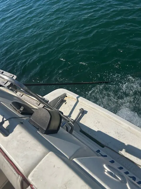 Sealine 218 · 15